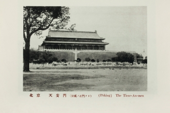 Lot 217