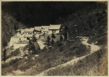 Lot 229