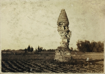Lot 230