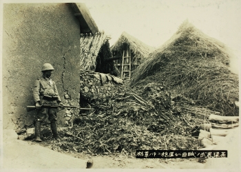 Lot 237