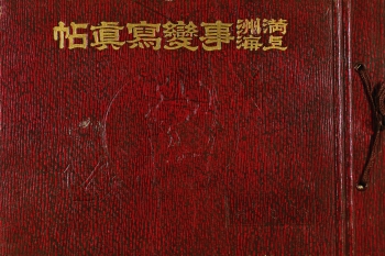 Lot 239