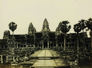 Lot 255