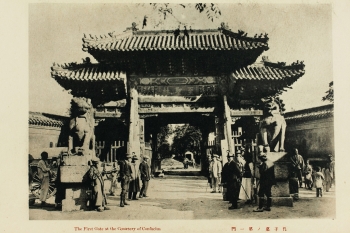 Lot 261