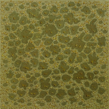 Lot 70