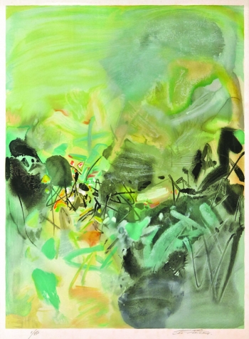 Lot 67