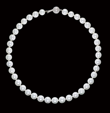Lot 55