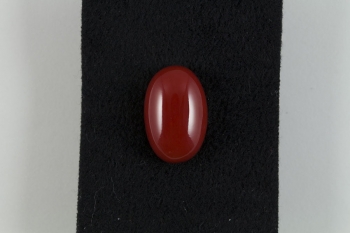 Lot 201