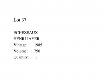 Lot 37