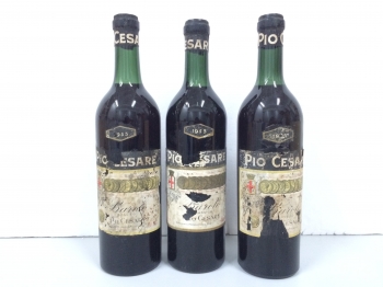Lot 79